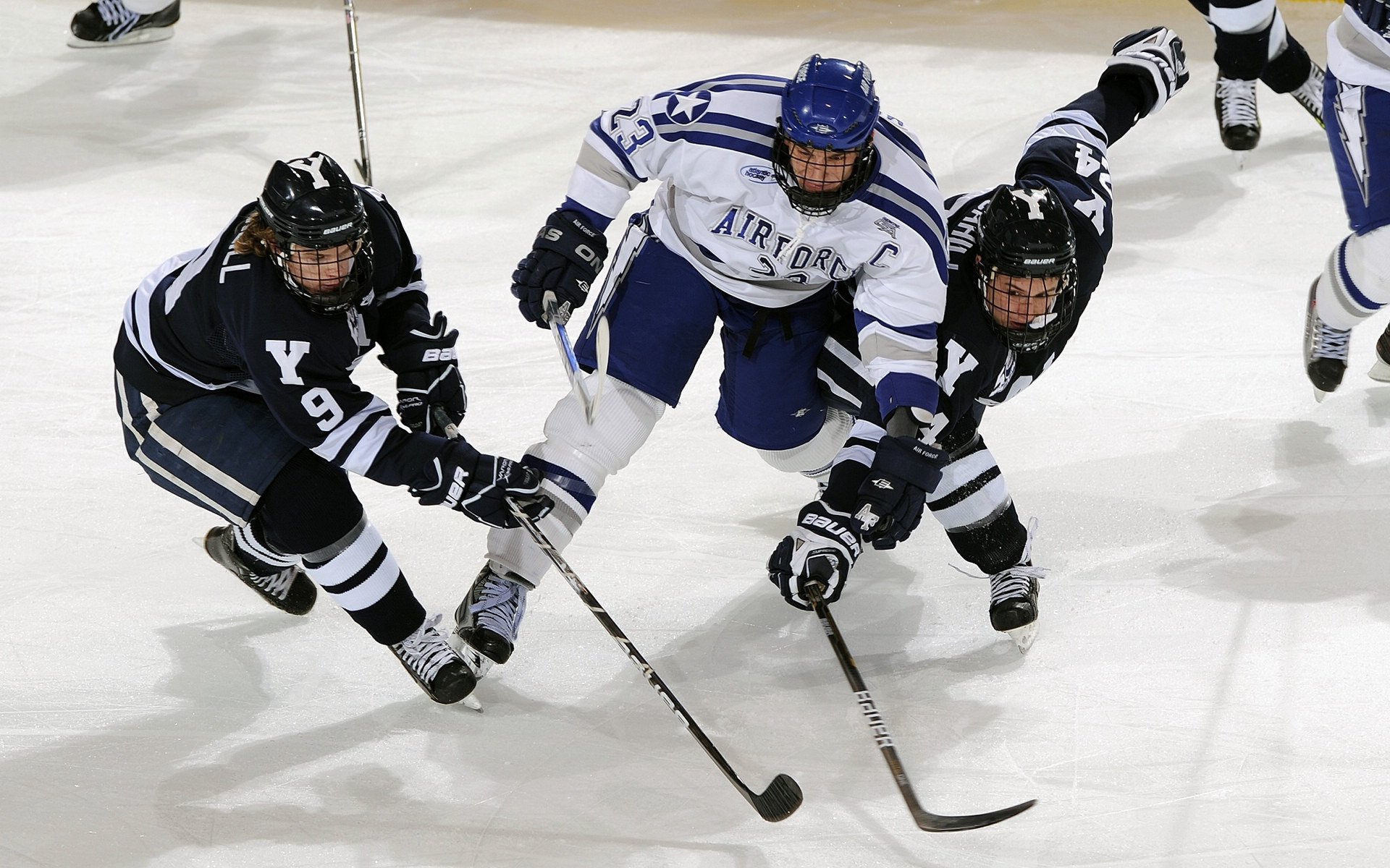 _场馆创新：搭建绿色环保、科技感十足的新比赛场地_，竞赛场馆运行